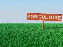AGRICULTURE S.1